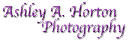 Ashley A. Horton Photography